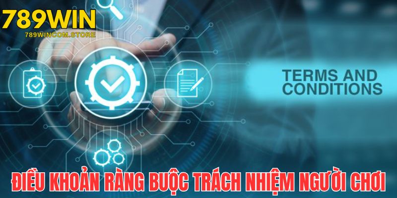 Những nội dung cốt lõi điều kiện và điều khoản