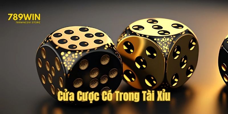 Những cửa cược phổ biến trong Sicbo 789WIN