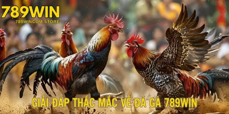 Giải đáp thắc mắc của khách hàng khi tham gia sảnh game