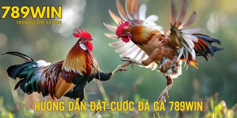 Hướng dẫn cách tham gia sảnh chọi kê đơn giản, dễ dàng